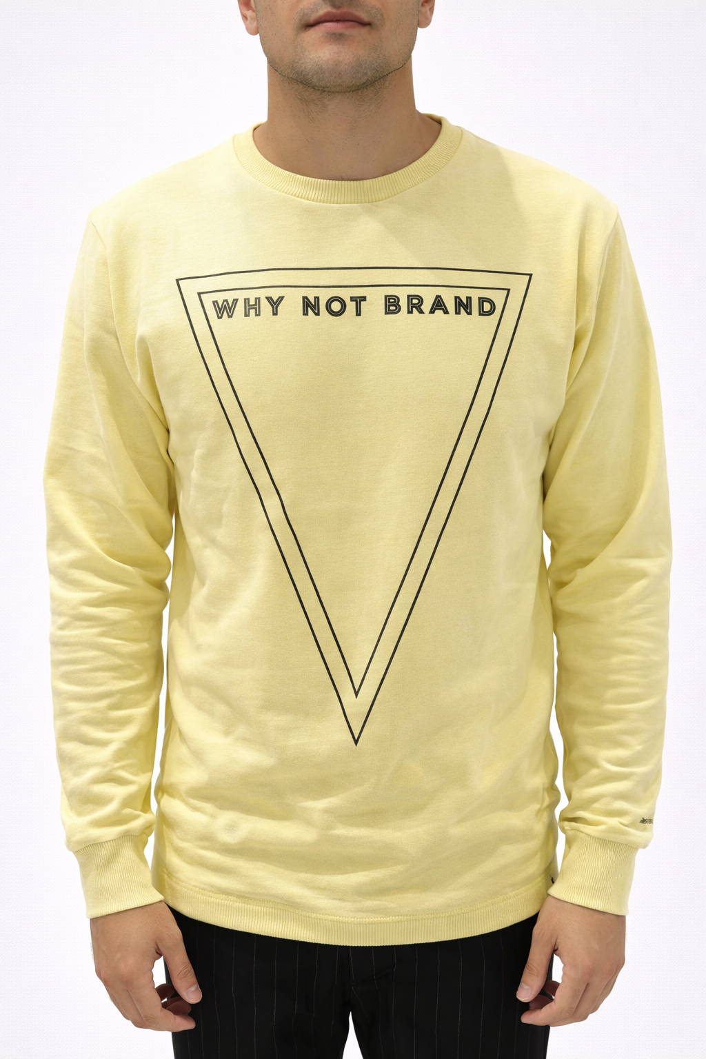 FELPA GIROCOLLO CON LOGO Why not brand TRIANGOLO